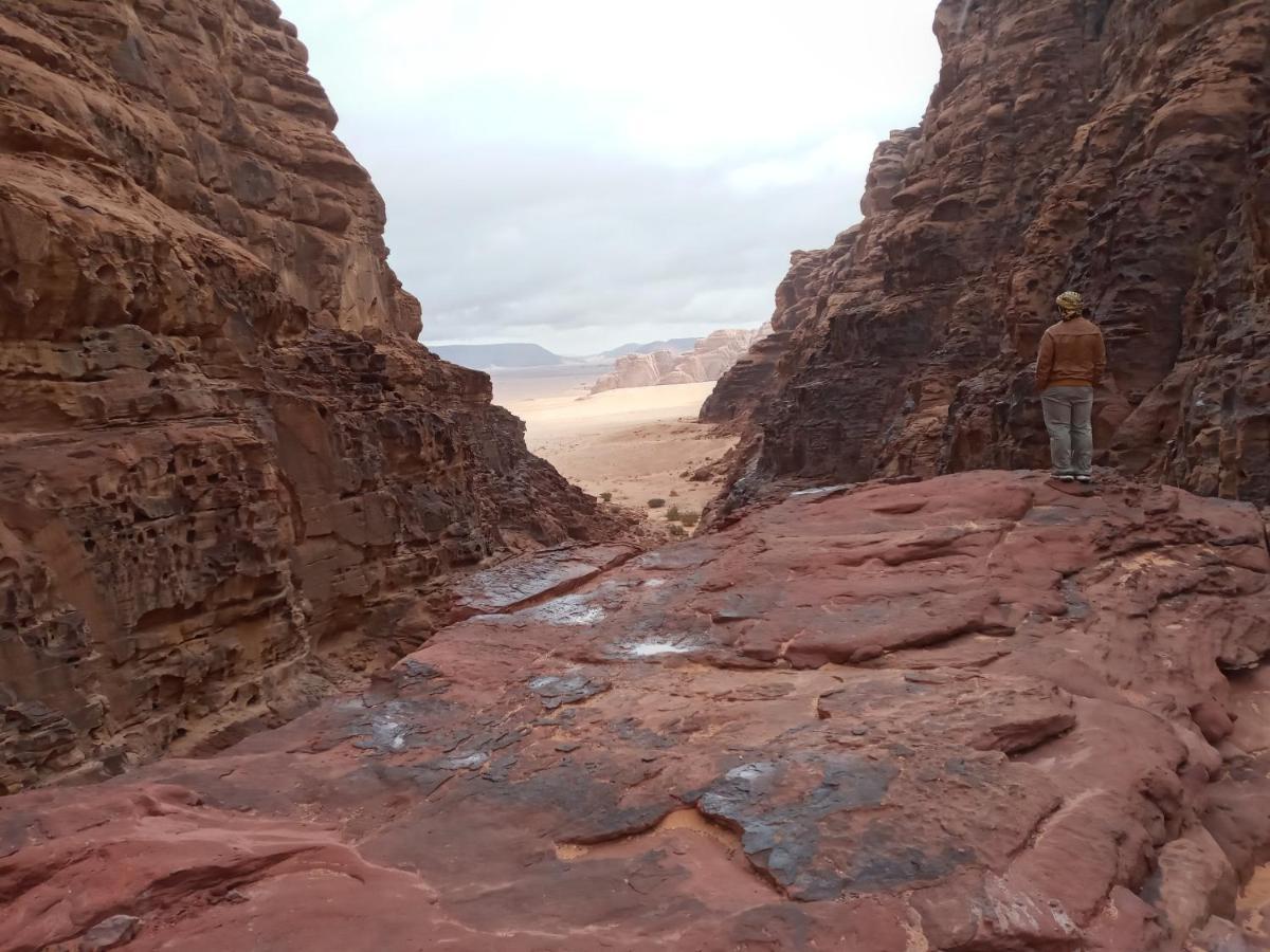 Rum Moon Luxury Camp Wadi Rum Zewnętrze zdjęcie
